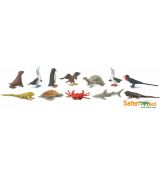 Zvieratá z Galapág - Tuba Safari Ltd