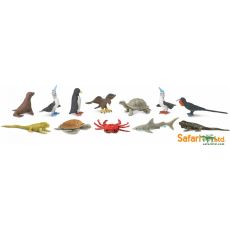 Zvieratá z Galapág - Tuba Safari Ltd