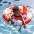 Swim Essentials Nafukovacie koleso pre bábätká Veľryby